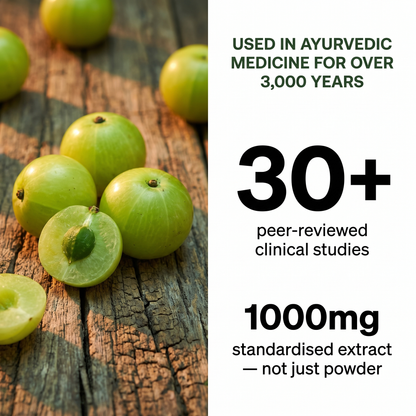 Amla Superfruit Capsules