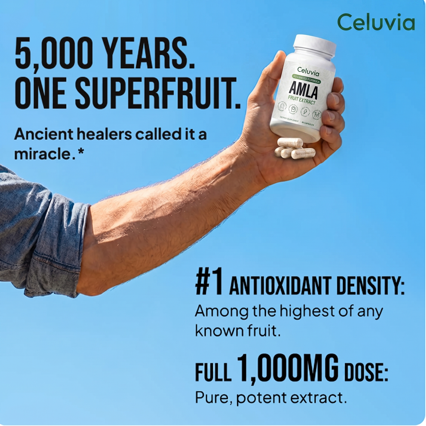Amla Superfruit Capsules