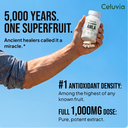 Amla Superfruit Capsules